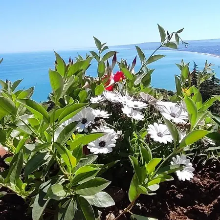 Appartamento Casa Sole E Mare